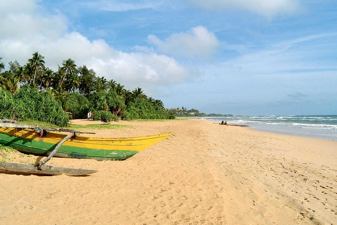 Galle Fort & Bentota Day Trip From Colombo - Highlights of the Day Trip
