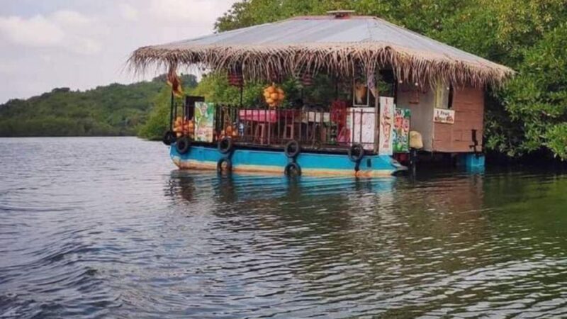 Galle/Hikkaduwa/Bentota: Down South Day Trip - Included Services