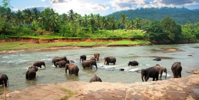 Galle (Hikkaduwa) To Udawalawe National Park Safari Tour - Frequently Asked Questions