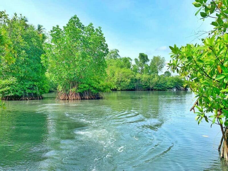 Galle: Koggala Lake Boat Safari with Monkeys Birds & Nature - Key Points