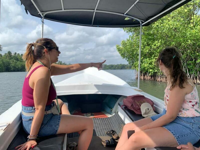 Galle: Koggala Lake Boat Safari with Monkeys Birds & Nature - An In-Depth Look at the Experience