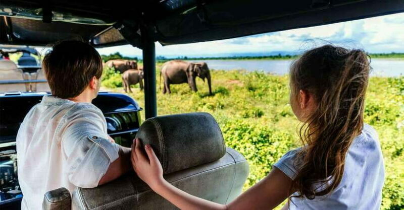Galle/Mirissa/Hiriketiya: Drop to Ella & Udawalawa Safari - An Authentic Day in Sri Lanka: What to Expect