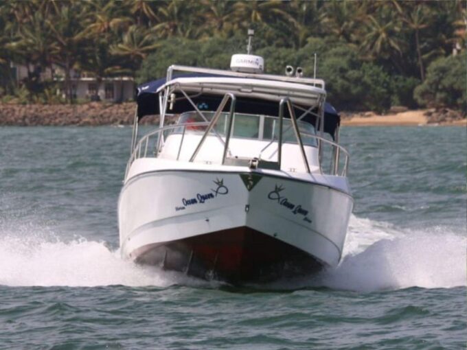 Galle: Mirissa Majesty: Exclusive Whales & Dolphins Cruise - Frequently Asked Questions