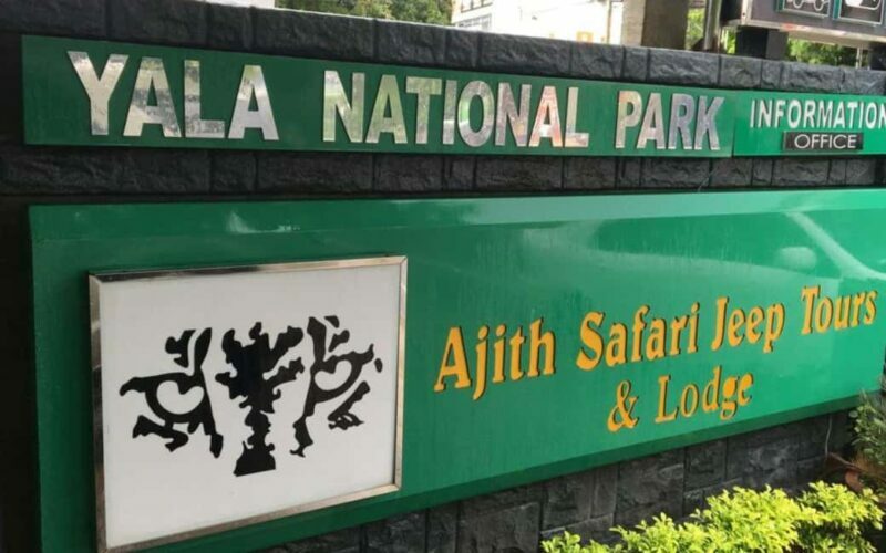 GALLE/MIRISSA/TANGALLE/HIRIKETIYA DROP to ELLA & YALA SAFARI - An In-Depth Look at the Experience