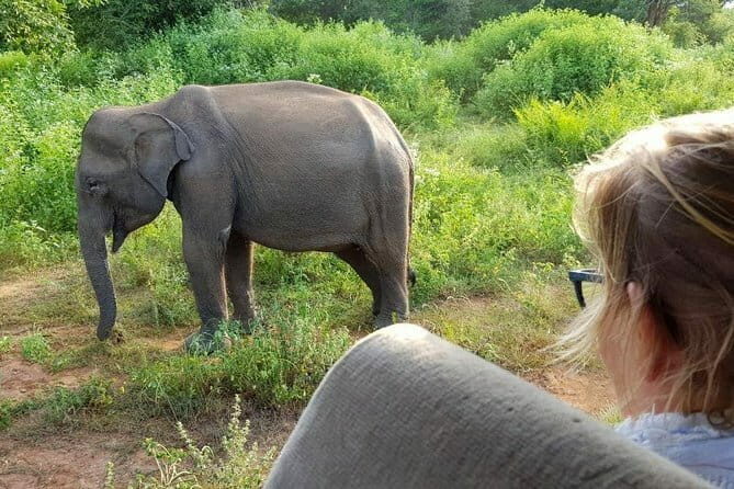 Galle/Mirissa/Tangalle: Transfer to Ella & Yala/Udawalawa Safari - FAQ