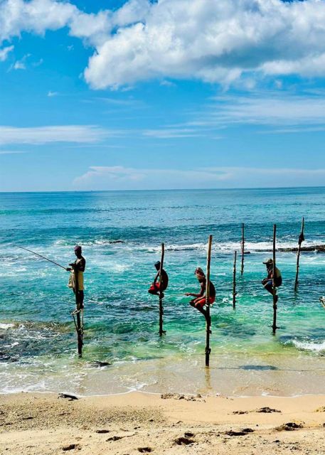 Galle One Day Tour - Transportation and Guides