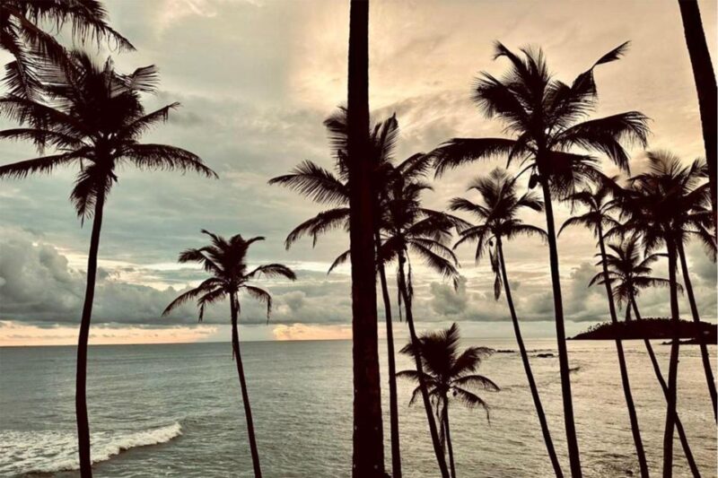 Galle One Day Tour - Transportation and Guides
