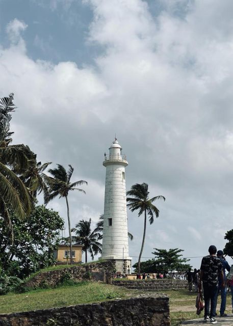 Galle One Day Tour - Turtle Conservation Farm