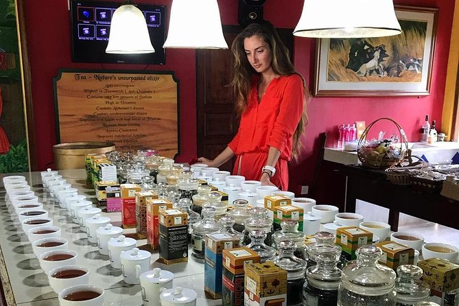 Galle Sightseeing Tour - Exploring the Tea Estate