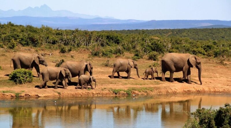 Galle (Unawatuna) To Udawalawe National Park Safari Tour - Costs and Expenses