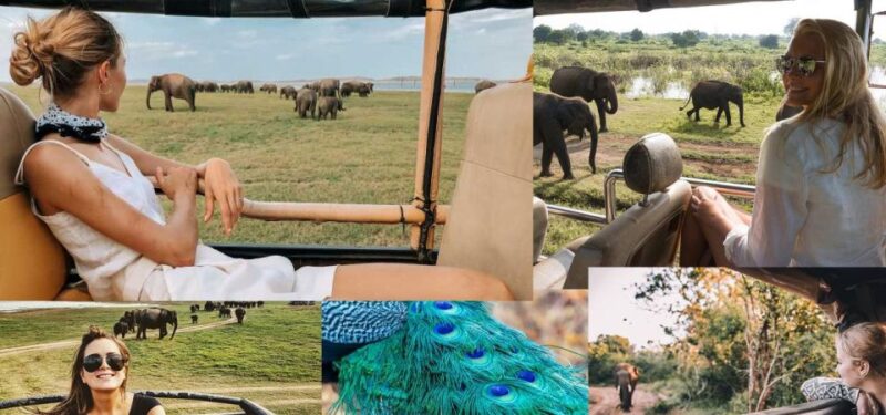 Galle (Unawatuna) To Udawalawe National Park Safari Tour - Guide Languages