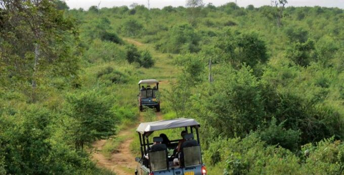 Galle (Unawatuna) To Udawalawe National Park Safari Tour - Packing Essentials