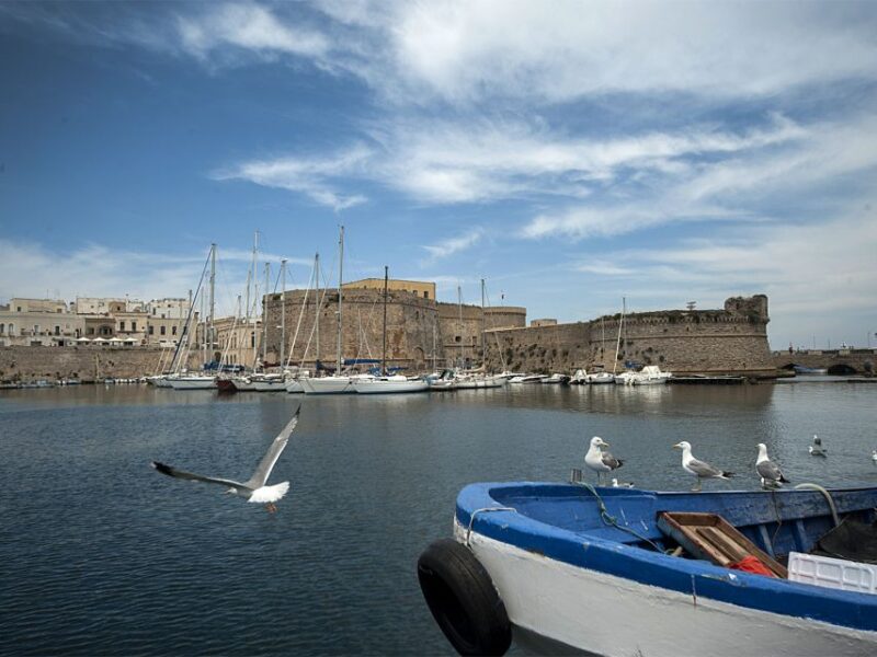 Gallipoli: Historic Guided Walking Tour - Price and Booking