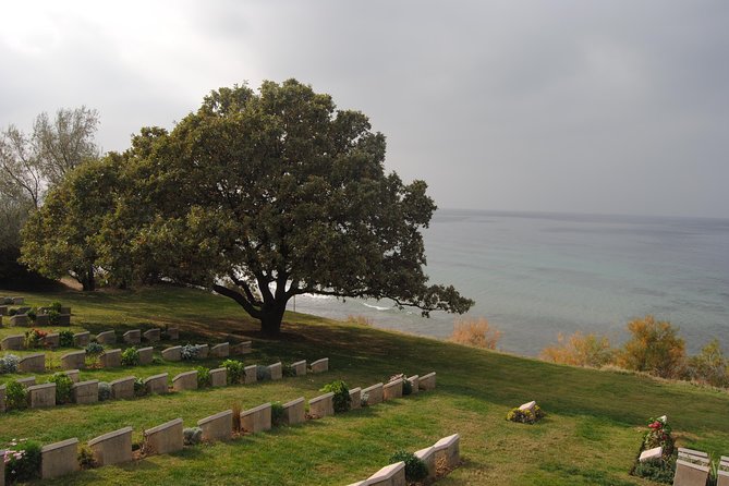 Gallipoli in Depth With Troy Pergamon Acropolis and Ephesus - Customer Reviews