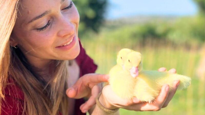 Gallura: Picnic on a Farm With Animals - What to Bring for Your Visit