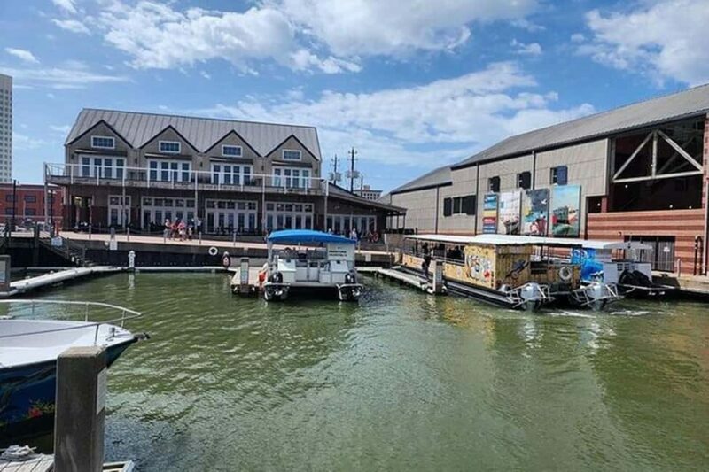 Galveston: Dolphin Watching Boat Tour in Galveston Bay - Key Points