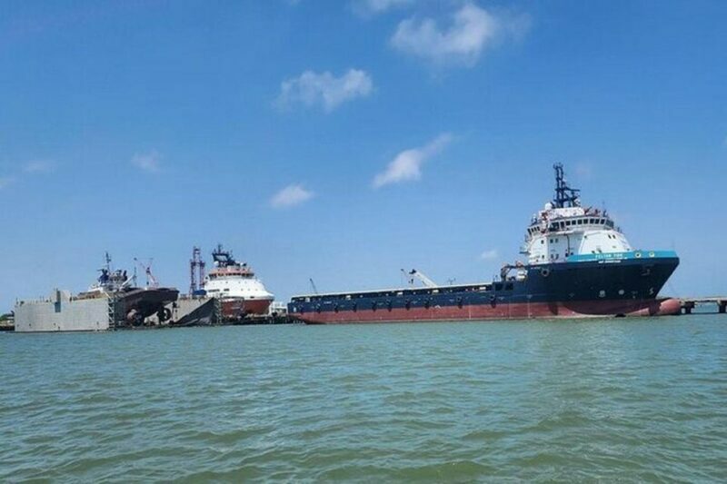 Galveston: Dolphin Watching Boat Tour in Galveston Bay - Frequently Asked Questions