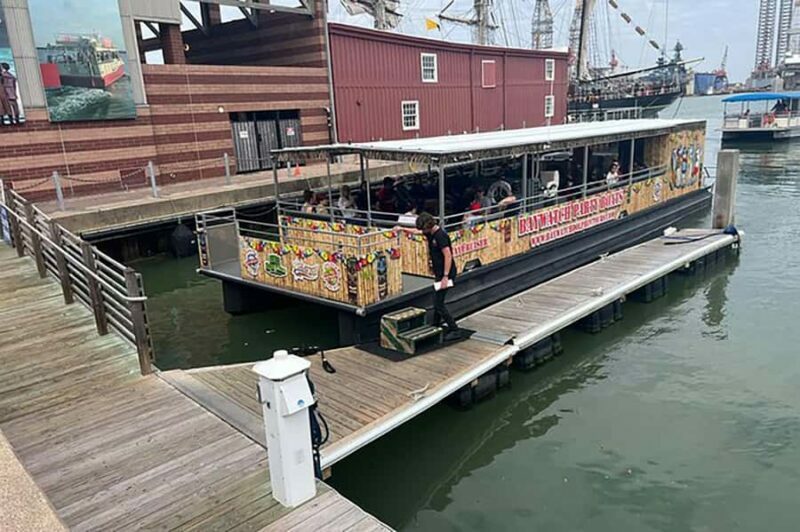 Galveston: Dolphin-Watching Cruise - The Experience in Detail