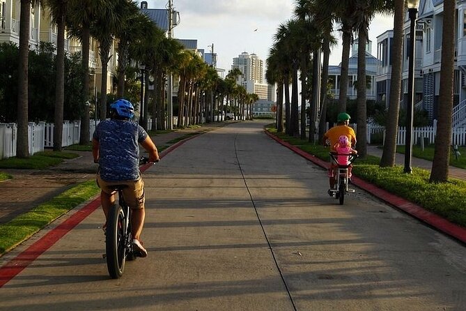 Galveston Island Art & Mural E-Bike Tour - Booking and Confirmation