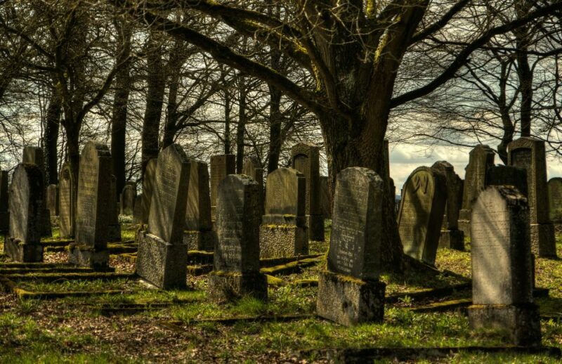 Galveston: Old City Cemetery Walking Tour with Local Guide - Final Thoughts: Who is this tour perfect for?