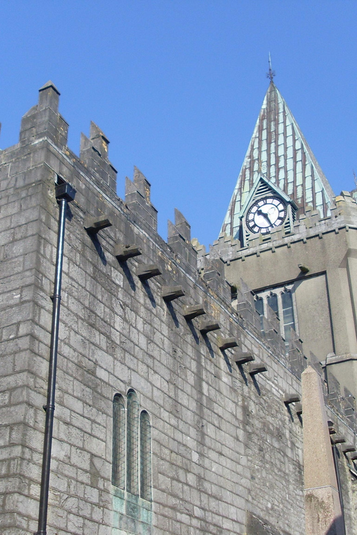 Galway: Evening Guided Walking Tour - Itinerary Highlights