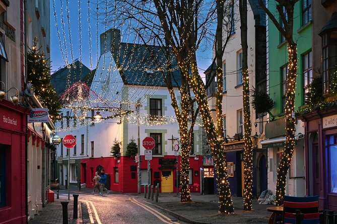 Galway Historic City Tour - 2.5hr Family & Friends Private Groups - Accessibility and Participation