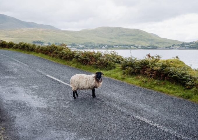 Galway Private Driver: Personalized Tours & Transfers - Health and Safety Measures