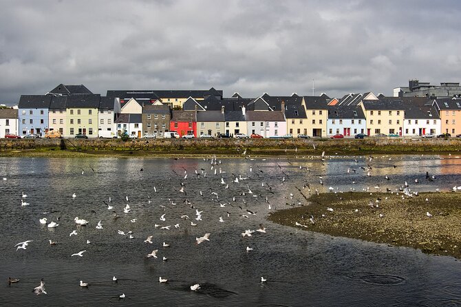 Galway Private Walking Tour - Positive Customer Feedback