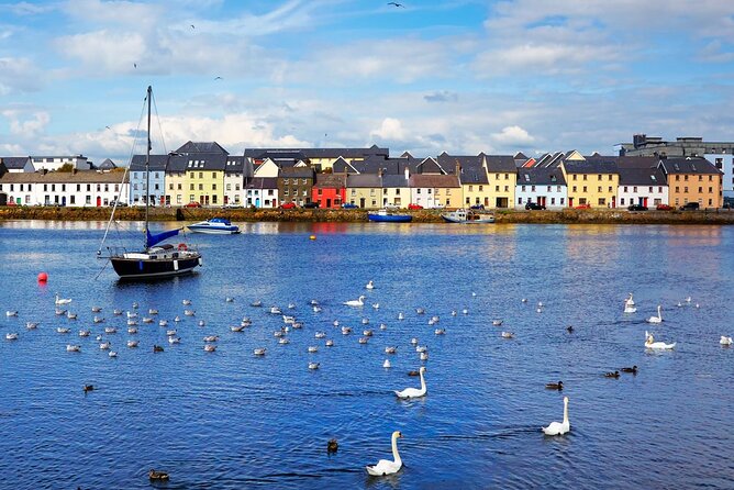 Galway Top Highlights and Claddagh Village Walking Tour - Tour Highlights