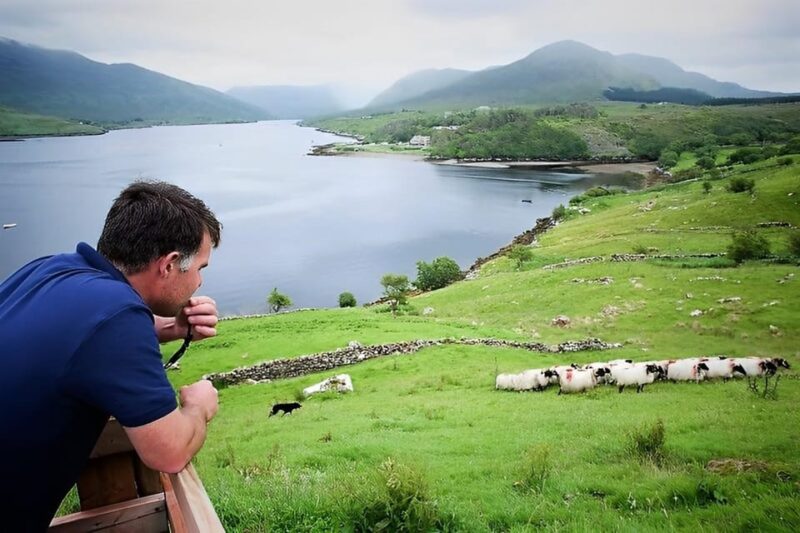Galway: Working Sheep Farm Guided Visit With Herding Demo - Scenic Country Walk