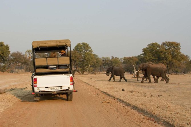 Game Drive in Mosi-Oa-Tunya National Park - Key Points