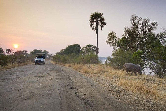 Game Drive in Mosi-Oa-Tunya National Park - Pricing and Booking Information