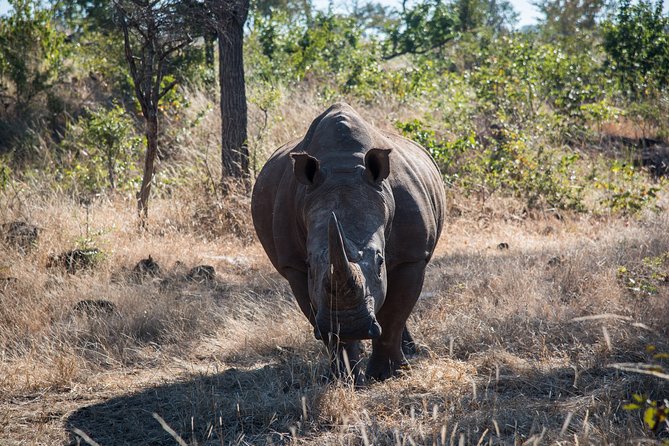 Game Drive in the Mosi Oa Tunya National Park - Livingstone - Duration and Logistics