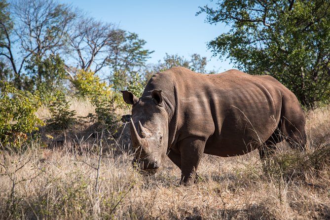 Game Drive in the Mosi Oa Tunya National Park - Livingstone - Pricing and Booking