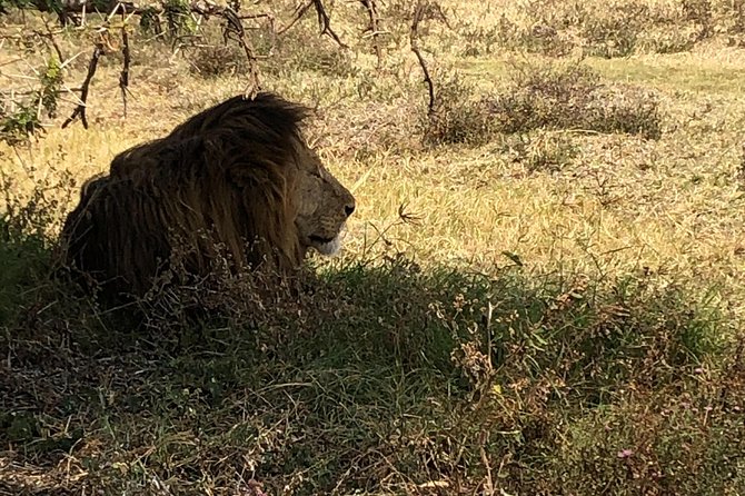 Game Drive in Zambezi National Park Morning or Afternoon - Booking Confirmation and Cancellation