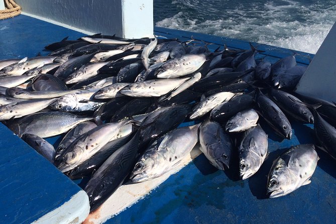 Game Fishing and Trolling Around Phuket - Inclusions and Exclusions