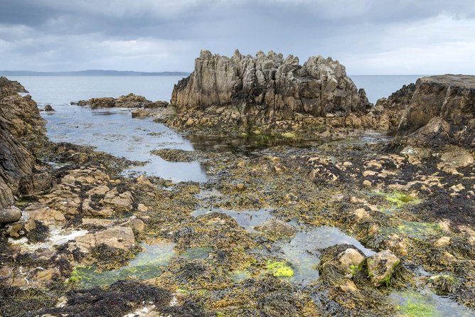 Game of Thrones and Giants Causeway Full-Day Tour From Belfast - Meeting Point and Time