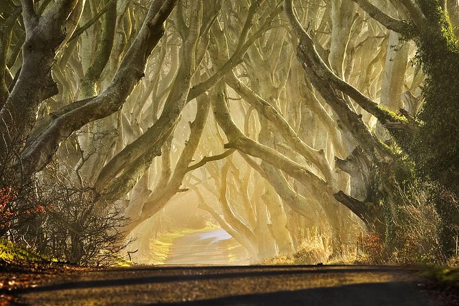Game of Thrones - Private Audi A6 Tour With Richard the Wildling - Traveler Reviews and Ratings