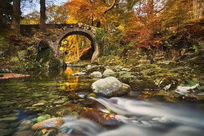 Game of Thrones - Tollymore Forest Trek - Meeting Point