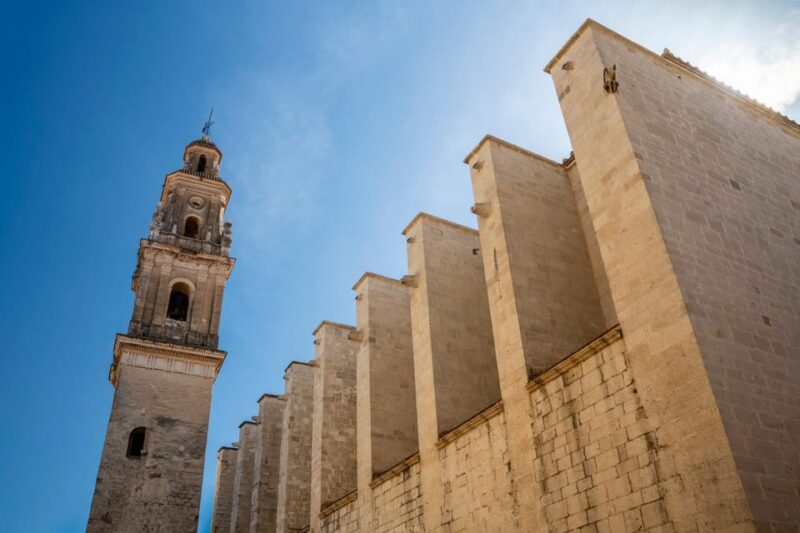 Gandía: Entrance to the Insigne Collegiate Church of Gandía - Guided Tour Features