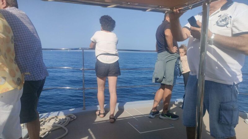 Gandía: Sea Cruise From Gandia With Sunset Option - Customer Feedback