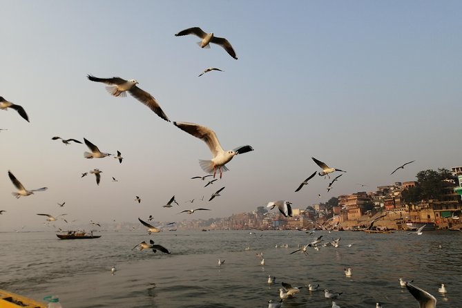 Ganga Sunrise Boat Tour - Exploring the Ganges at Sunrise
