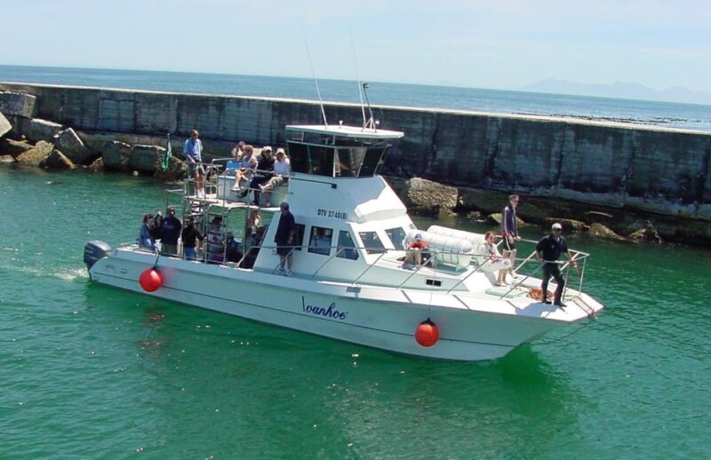 Gansbaai: Whale Watching Trip by Boat - Key Points