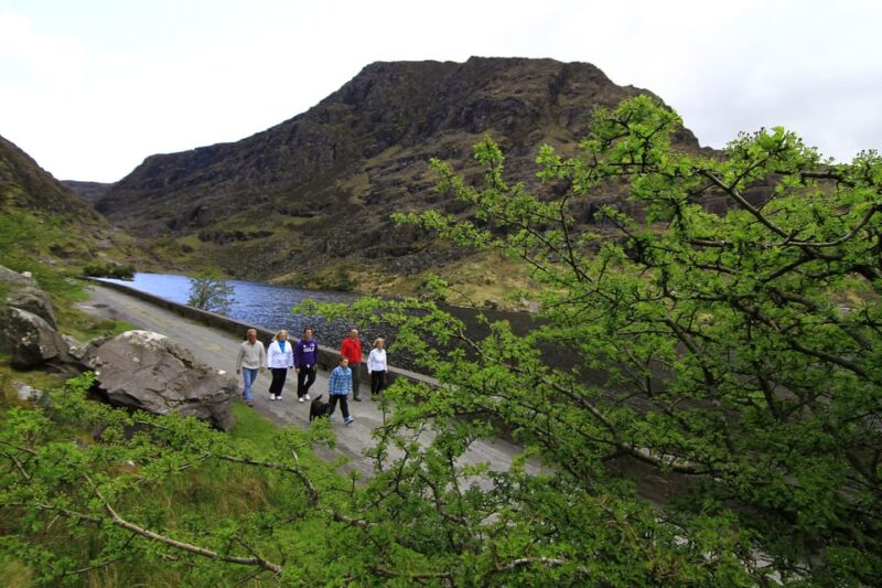 Gap of Dunloe & Lakes of Killlarney Boat Tour - Itinerary and Activities