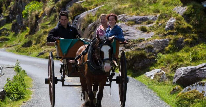 Gap of Dunloe & Lakes of Killlarney Boat Tour - Tour Inclusions