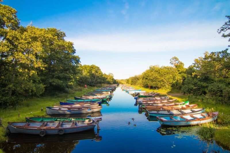 Gap of Dunloe & Lakes of Killlarney Boat Tour - Customer Reviews and Ratings