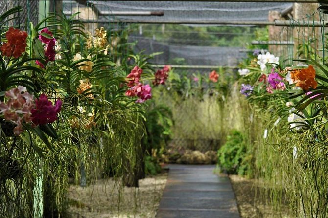 Garden Delight Full-Day Tour in Barbados - Visiting the Flower Forest