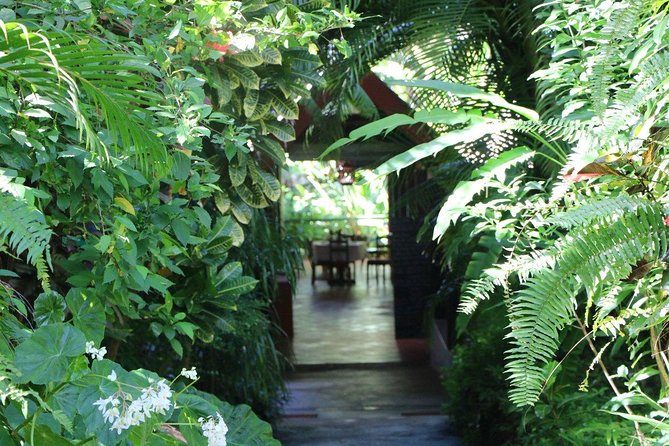 Garden Delight Full-Day Tour in Barbados - Exploring Huntes Gardens