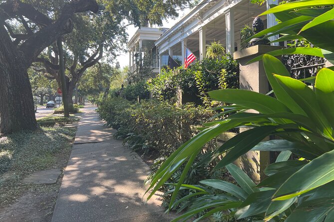 Garden District Architecture Walking Tour in New Orleans - Feedback and Recommendations
