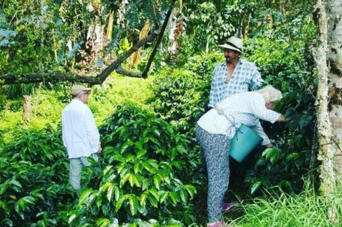 Garden: Horseback Ride With Coffee Villa and Waterfall - Recap